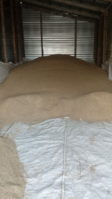 Зерновые отходы пшеничные гречневые