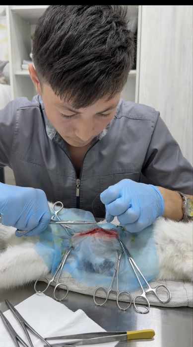 Veterinariya xizmati 24/7 aloqada