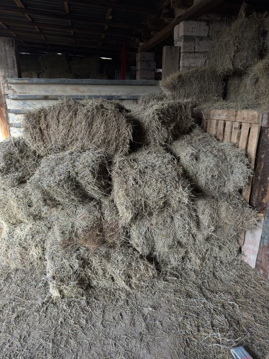 Тук сатылады жусан