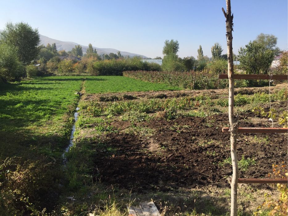 Продам дом с большим участком