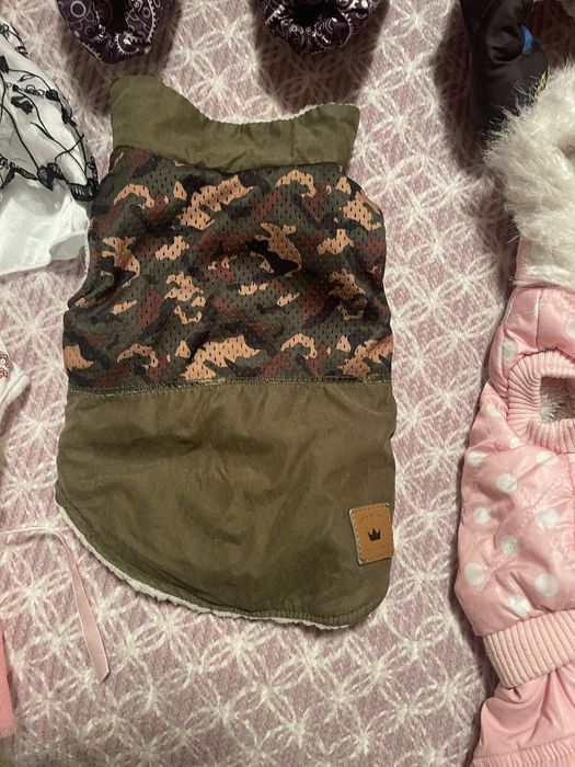 Одежда для собак мелких пород