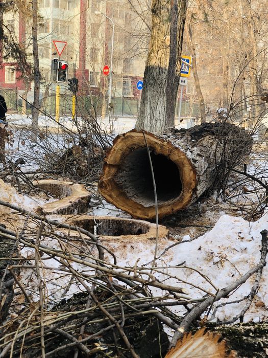 Дрова берёза карагаш дуб топль