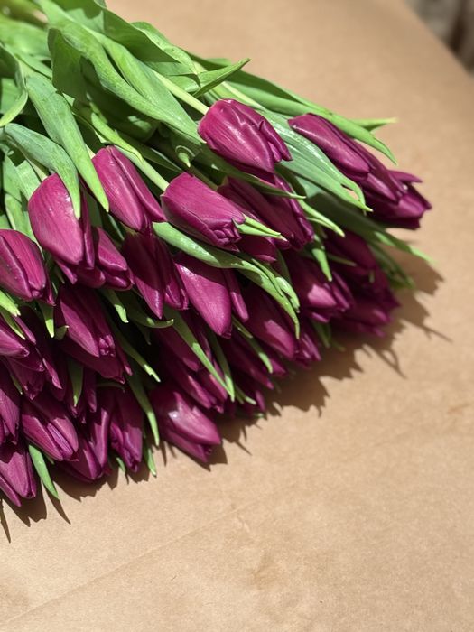 Тюльпаны Алматы-Выгодные цены!