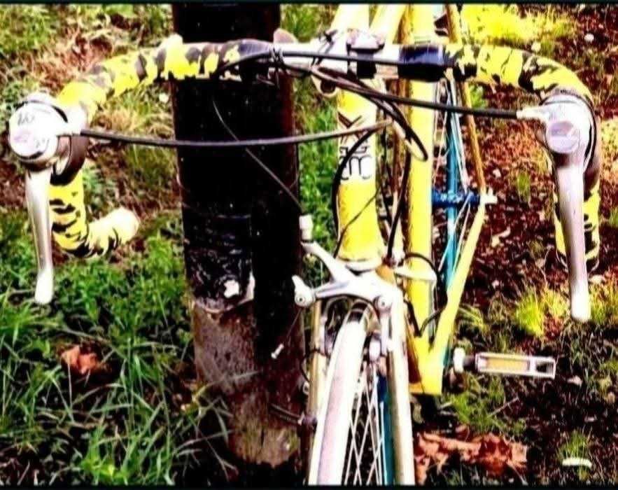 Cursieră clasică din oțel