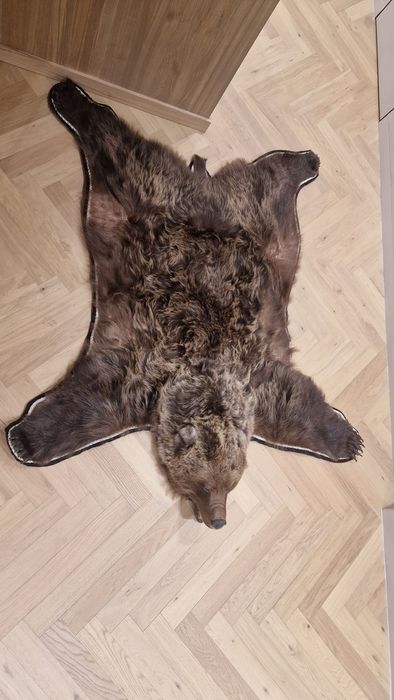 Ковёр из медвежьей шкуры