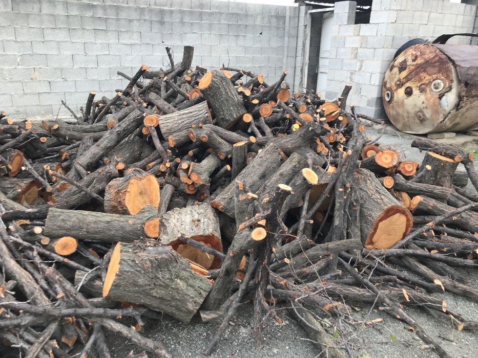 Otin sotiladi bir mawina 53 da chiqadi manzil:andijon tumani xrabekdan