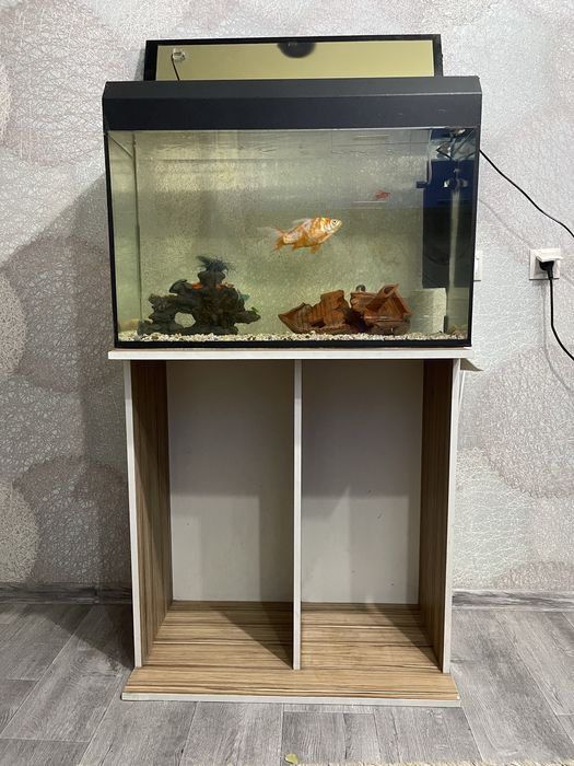 Срочно! Продам аквариум 120л с рыбками +тумба и всем необходимым!