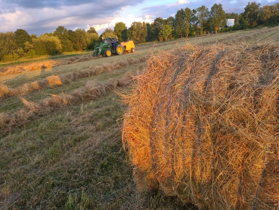 Vând baloți de paie 125/125
