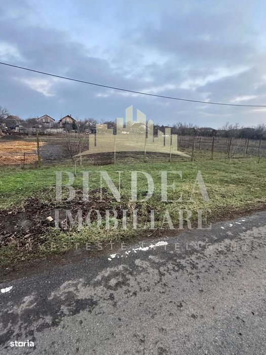 Teren casa 837mp Cernateaz- vatra satului