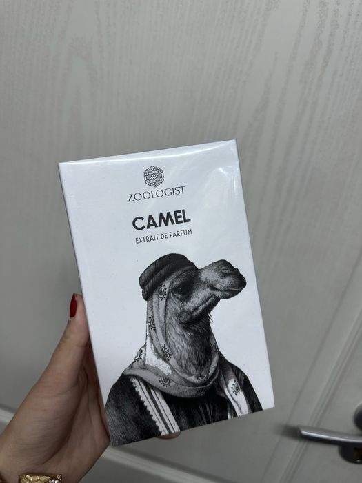 Zoologist camel
