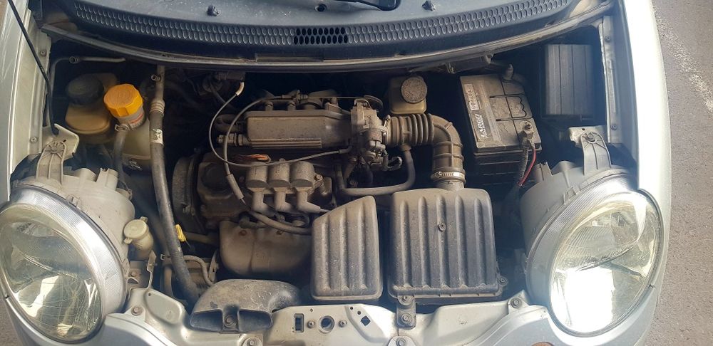 Matiz H9 pitno bor