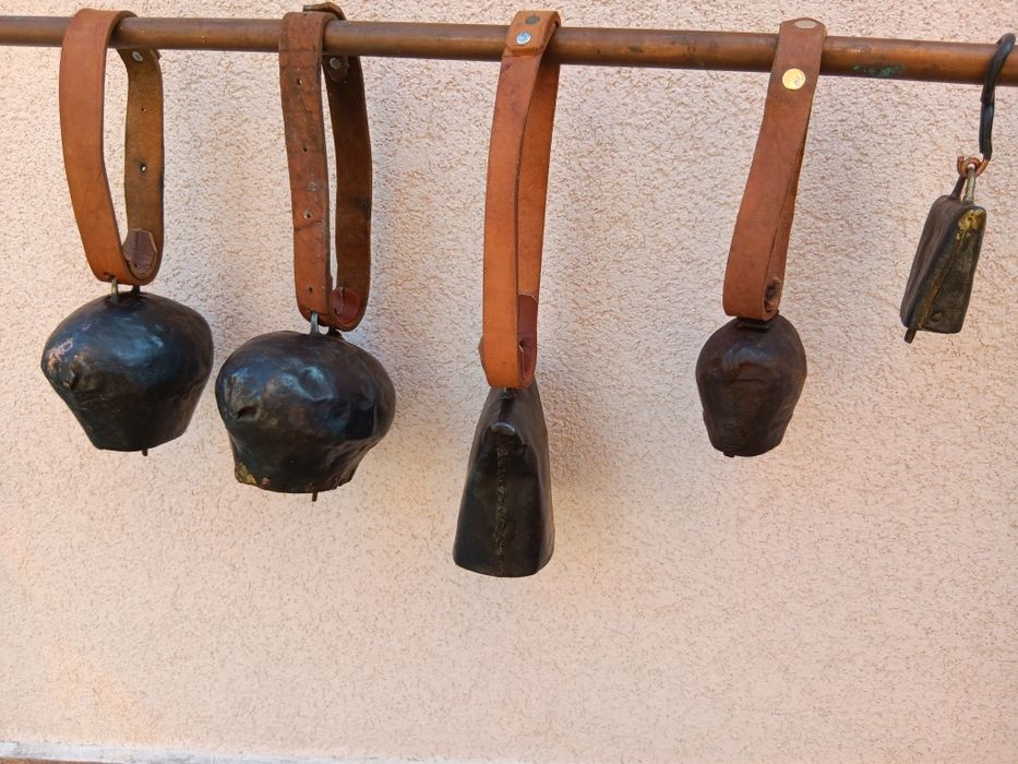 Хлопки от началото на 20 век