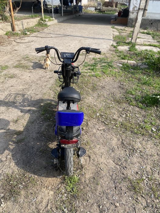 Электро скутер T-rex