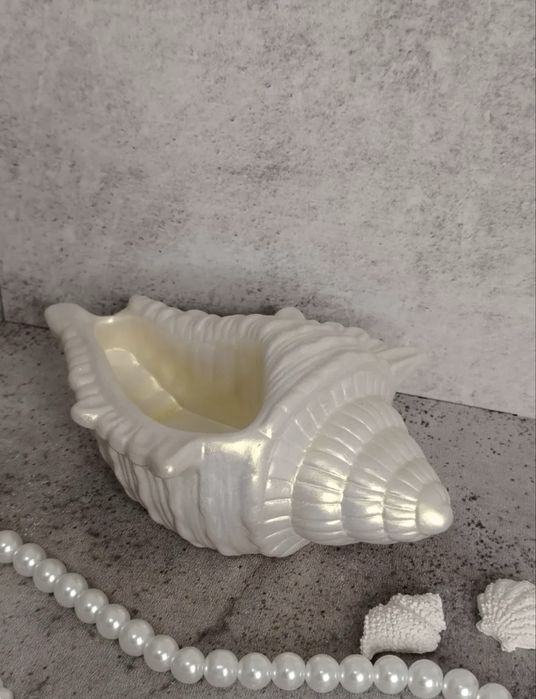 Декор для интерьера. Ракушка из гипса