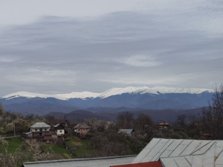2500 mp - zona Arges, comuna Berevoiesti -sat Otelu