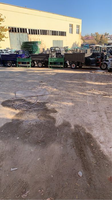 Муравей (muravey)