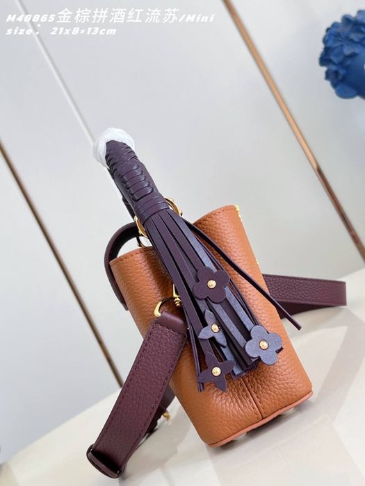 Geanta Louis Vuitton Capucines