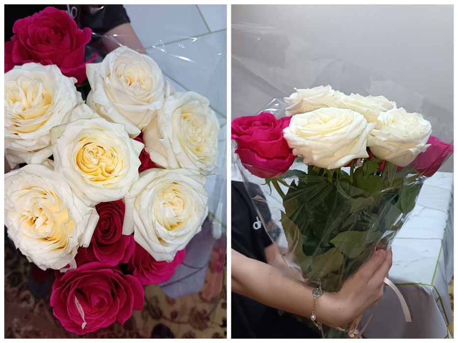 Продам цветы.  Метровые РОЗЫ