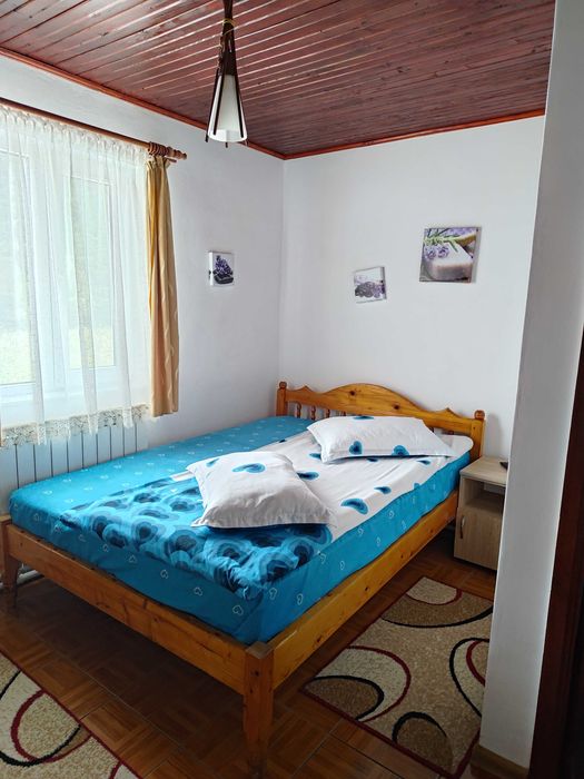 Casa / pensiune de vanzare LEPSA