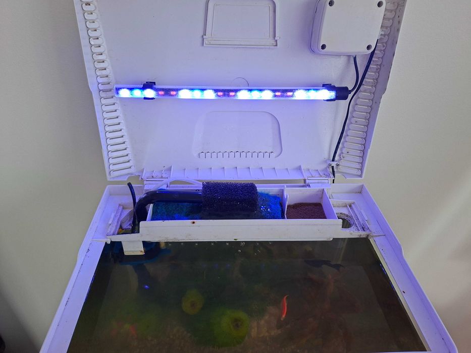 Acvariu din plexiglass cu pesti