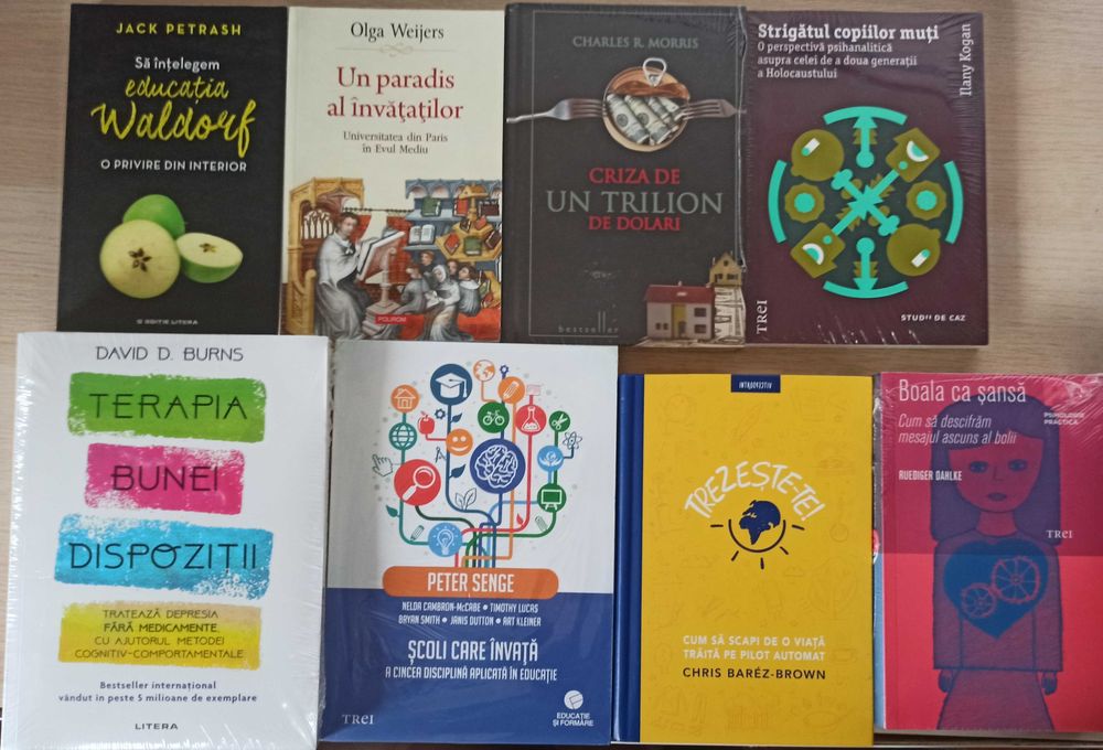 Carti dezvoltare personala, psihologie, sanatate, economie (lichidare biblioteca)