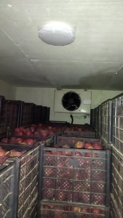 Морозильная камера