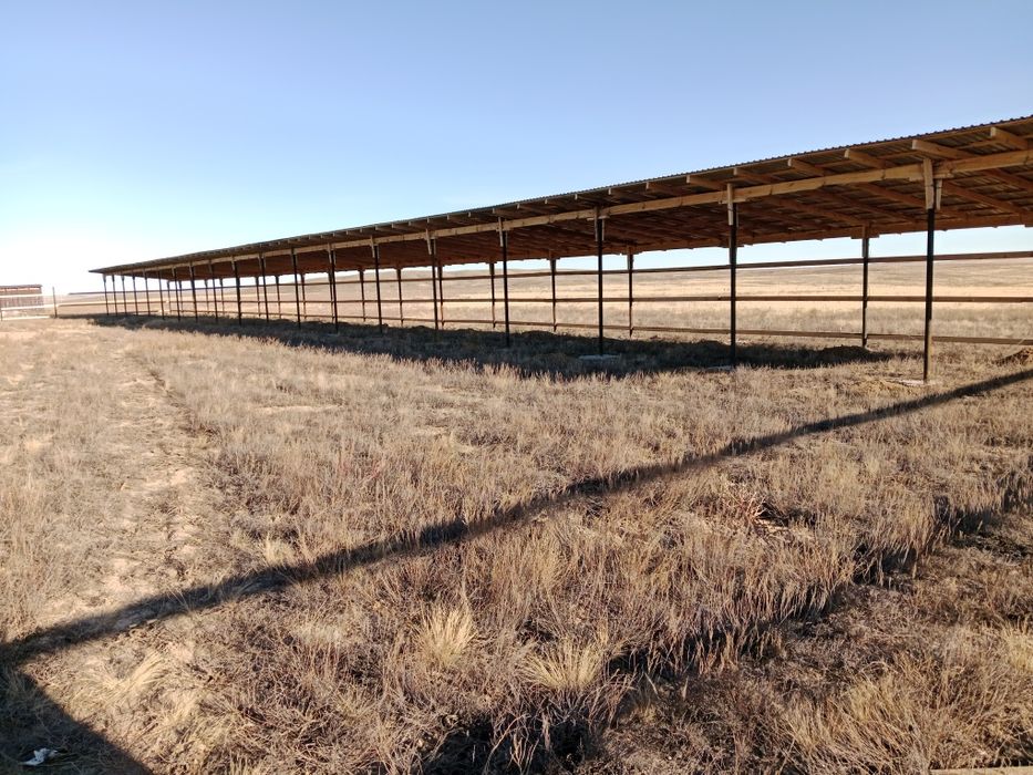 Продам хозяйства зимовка