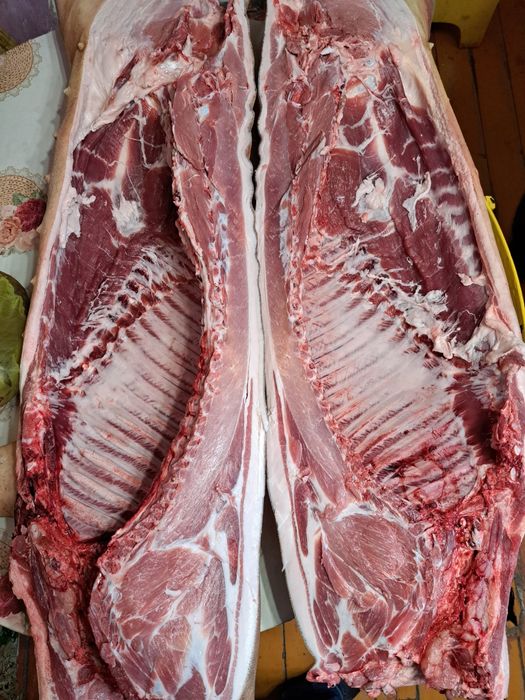 Продам мясо свинины