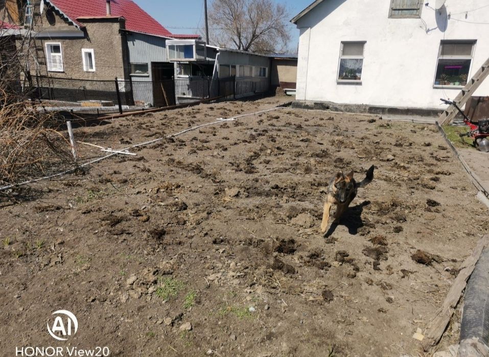 Продаётся хороший отдельностоящий дом.