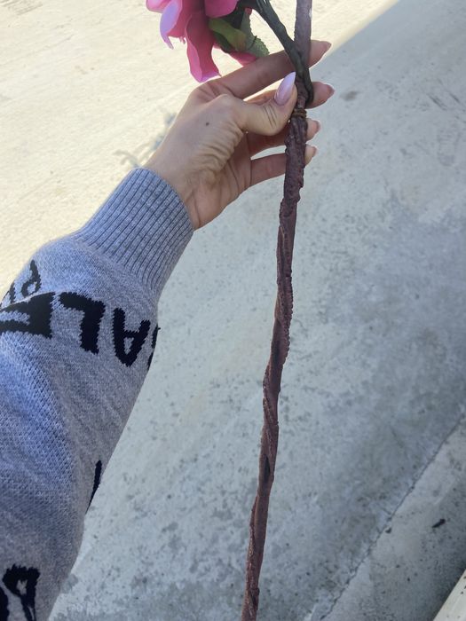 Изкуствена роза-клюнче,увивни клончета