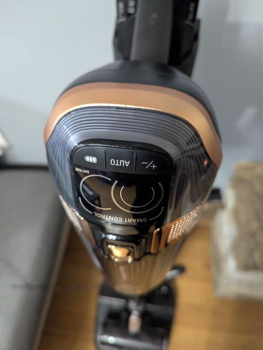 Aspirator Vertical Rowenta X-Force Flex 15.6