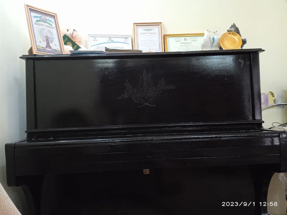 Пионено тез ва арзон сотилади