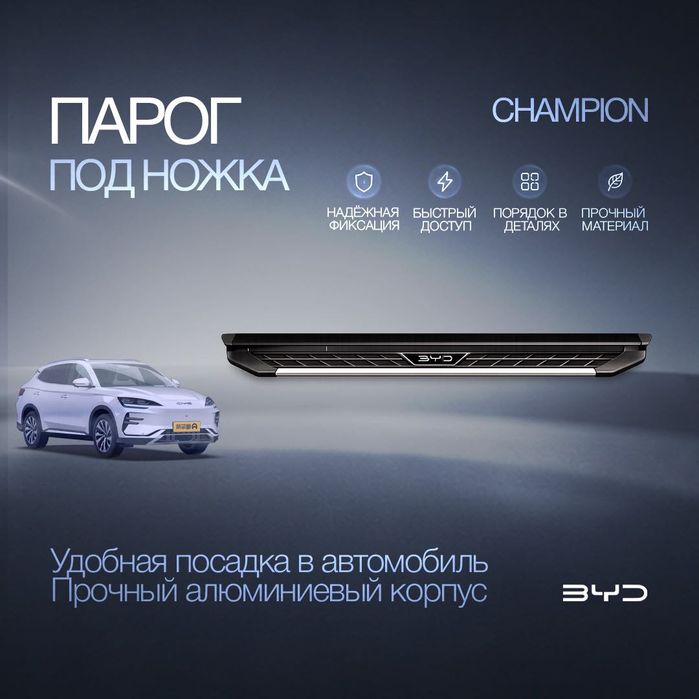 Пороги для BYD Champion