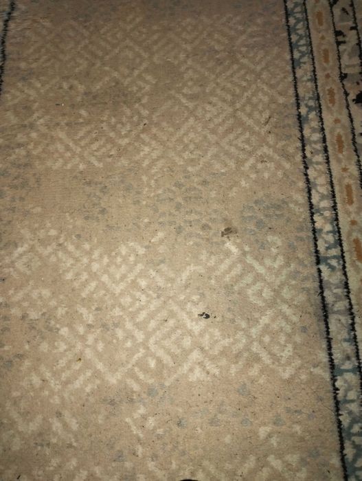 Ковровые дорожки.