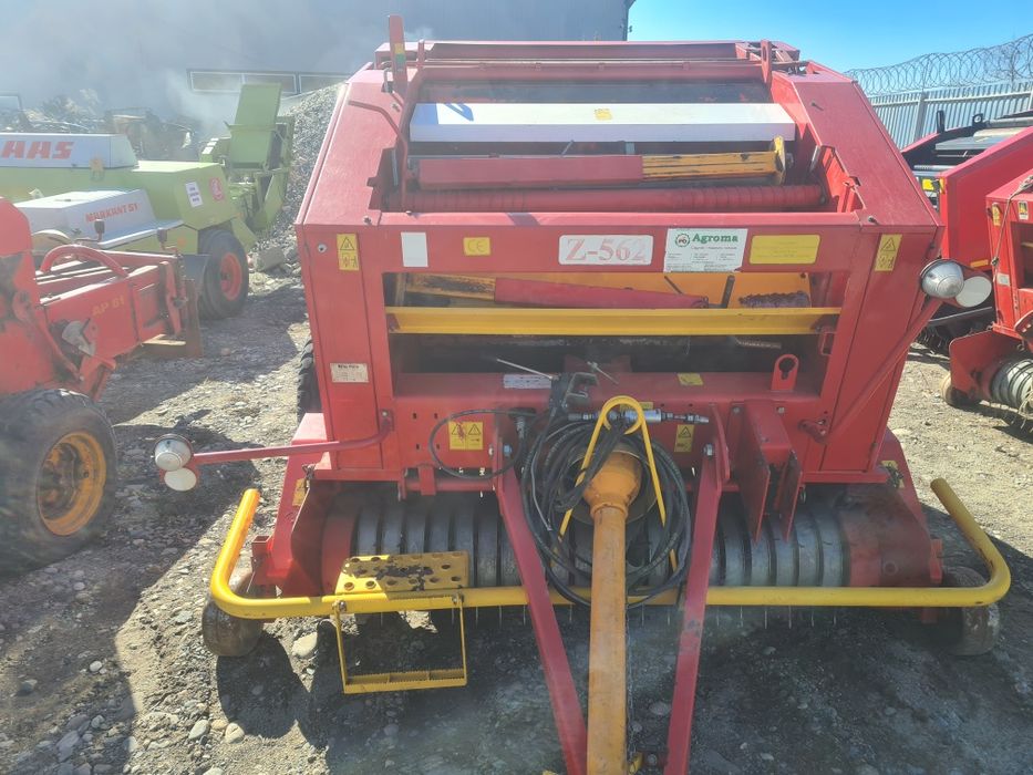 Буроям , ямобур Lisicki (Польша)