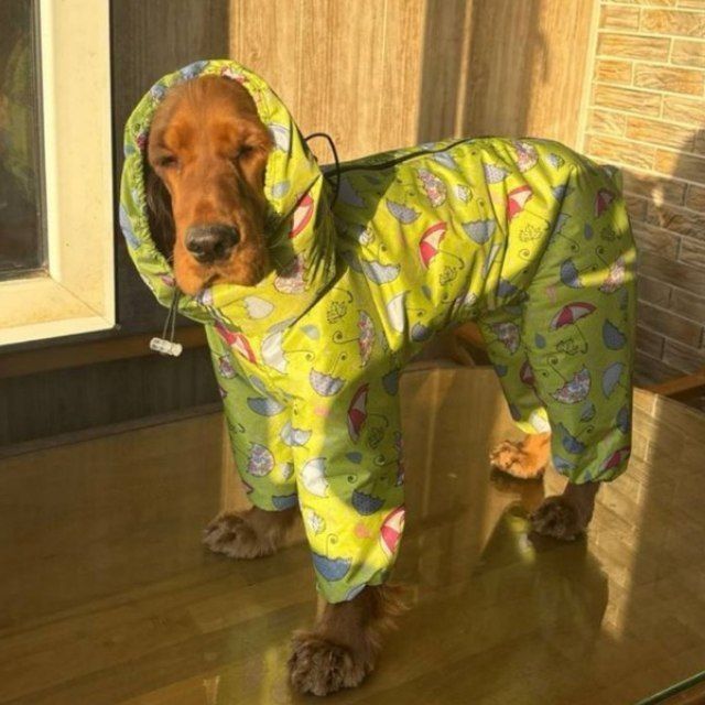 Одежда для собак,комбинезон для собак