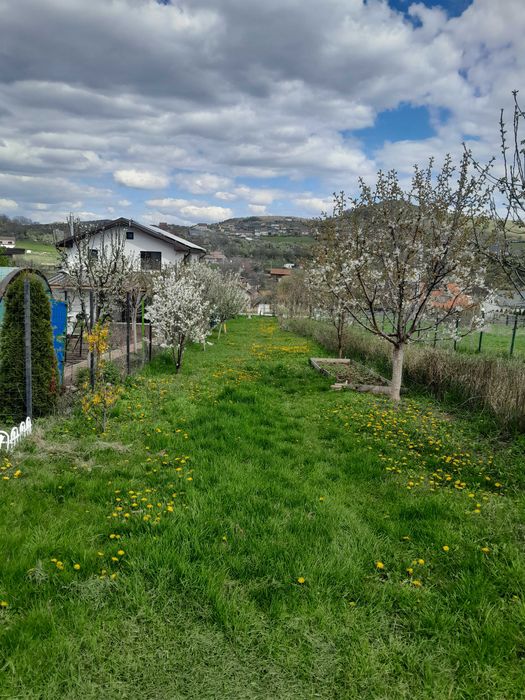 Vand teren intravilan Salicea 300 metri patrati