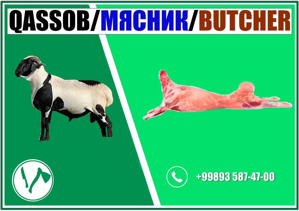Qassob / Мясник / Butcher