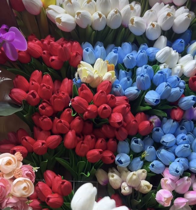 Лолалар 10та почкасида