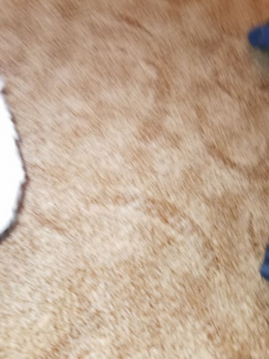 Combinezon Nou nascut George