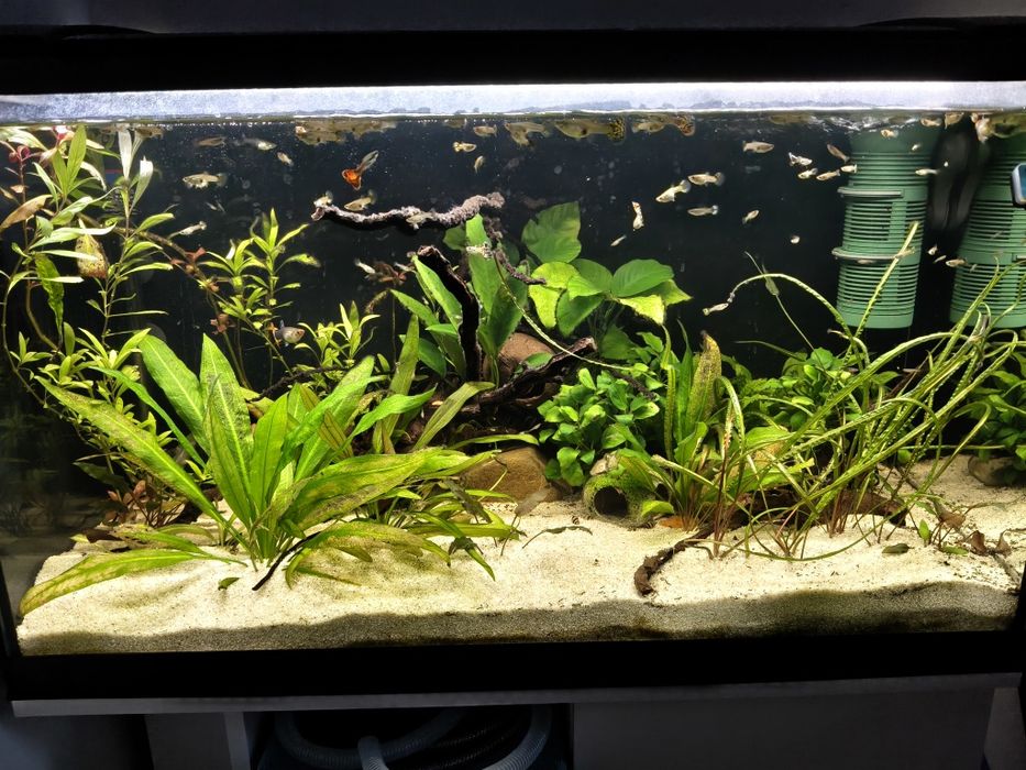Acvariu 120 litri + stand