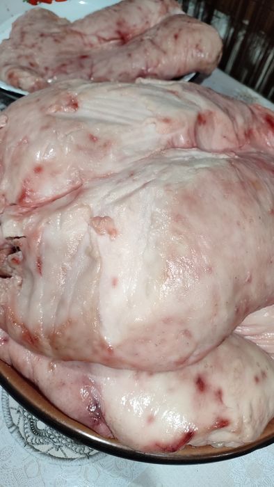 Продам свежий, белый, отличный курдюк