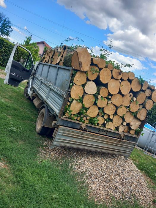 Lemne! JUD:BIHOR Esenta tare!!