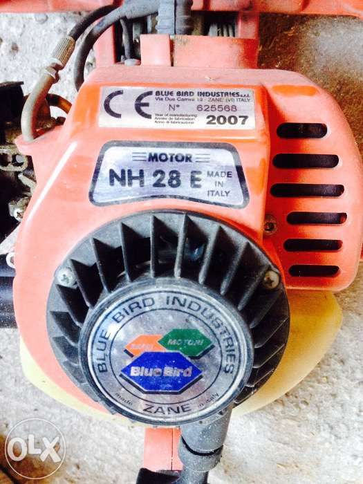 Drujba pentru tuns gard viu