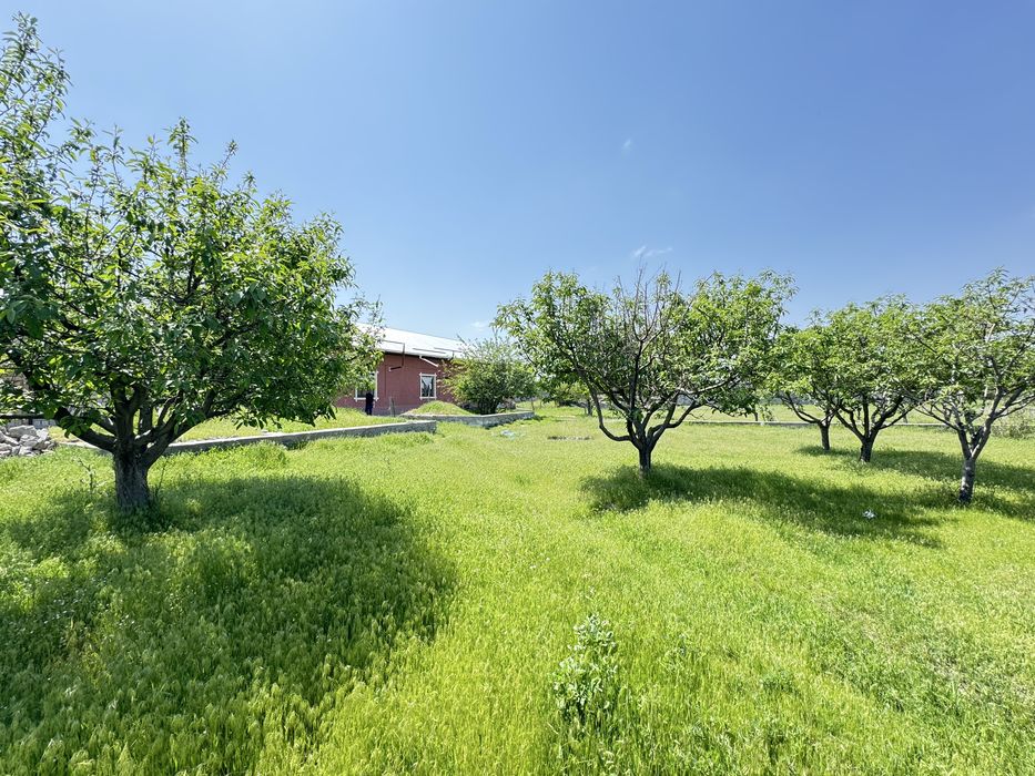 Земля на продажу 5 соток Корасув 24900$