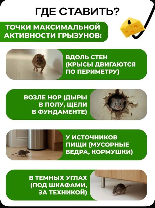 Крысолова мышеловка гуманная