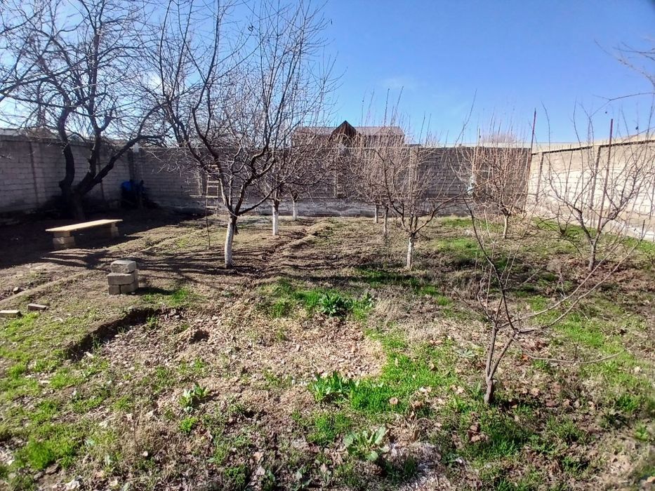 Земельный участок