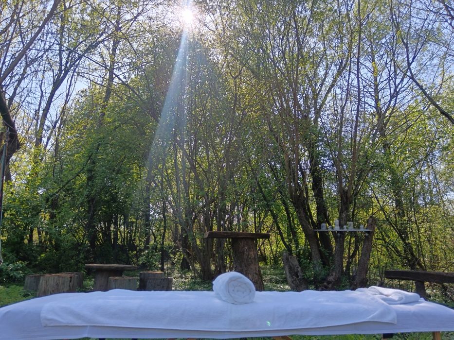 Master Terapeut(Terapie Musculară, Viscerală, Chiropractică)