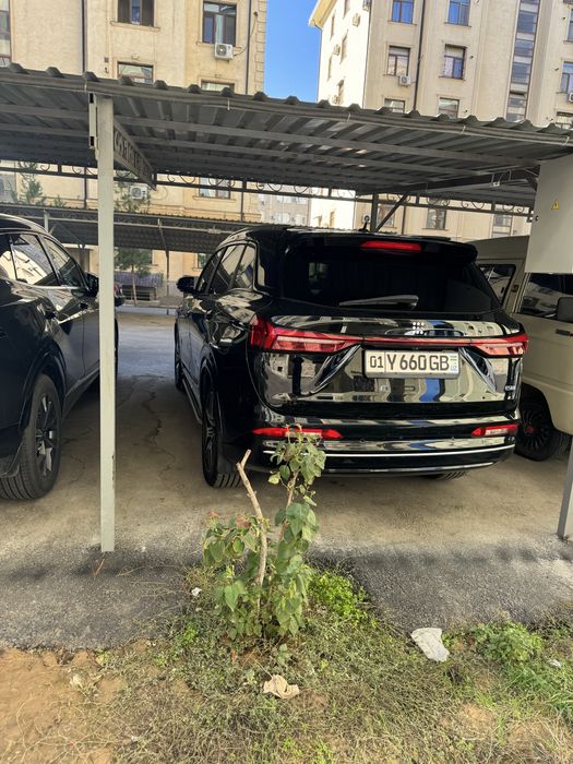 Fengo gibrid508 srochno sotilad