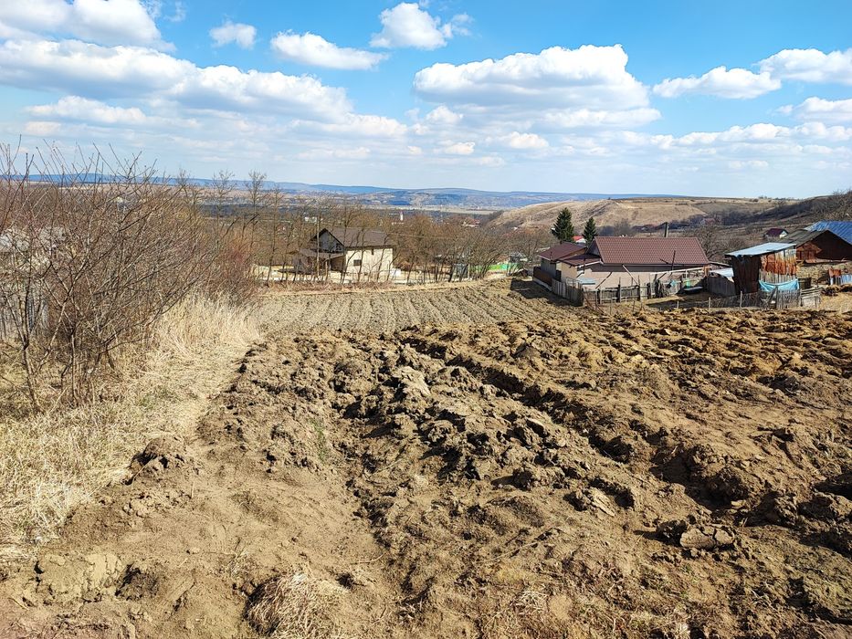 Teren intravilan Răcăciuni 2568 mp